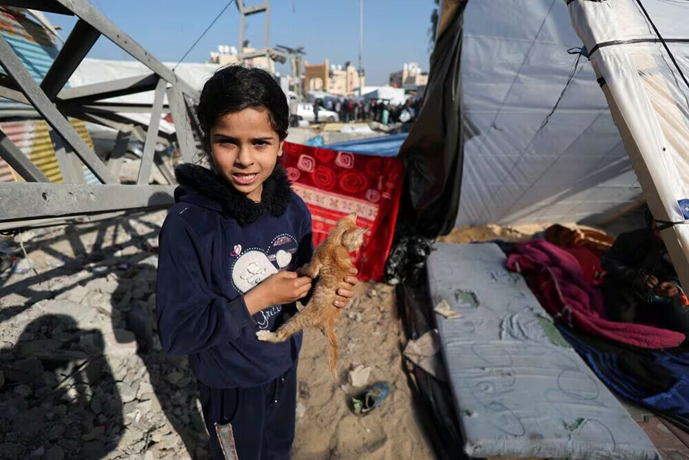  Muna Al-Sawaf, a displaced Palestinian girl from Gaza City, holds her cat as she stands outside her family tent, amid the ongoing conflict between Hamas and Israel, in Rafah, southern Gaza Strip.  REUTERS 