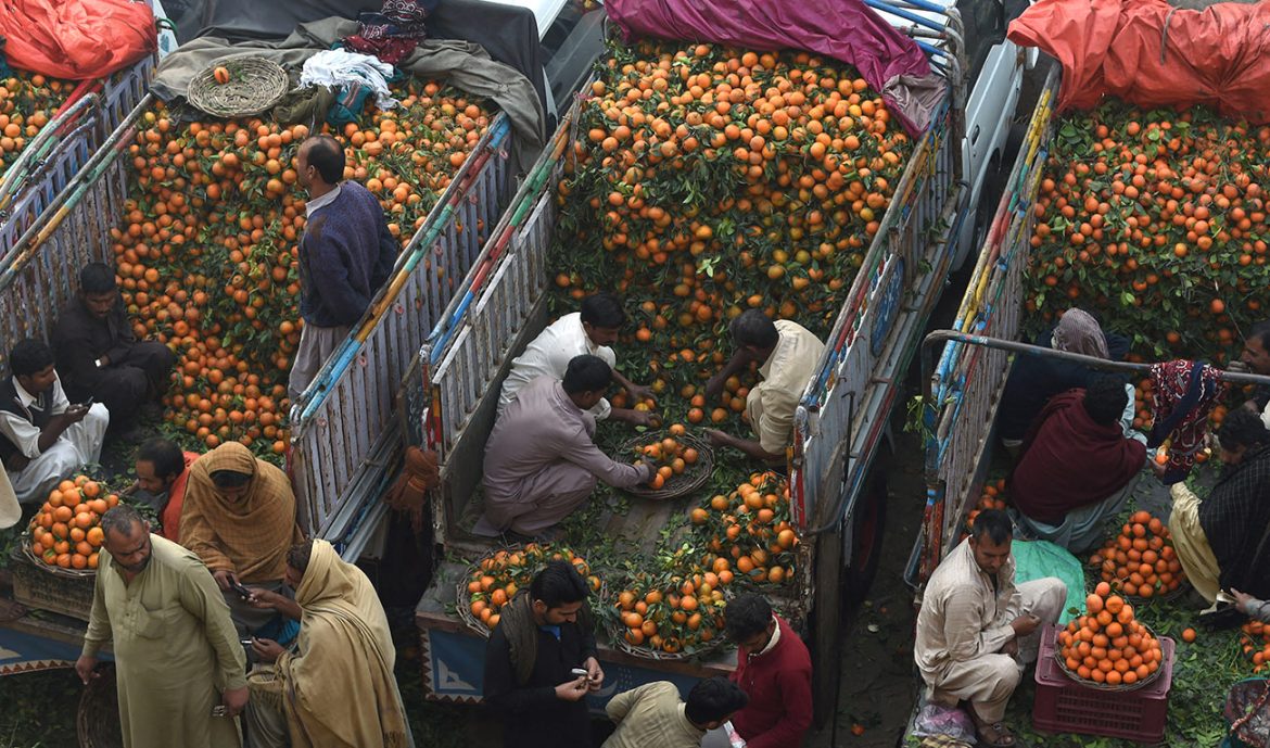 In major development, Pakistan starts fruit delivery to Russia via land