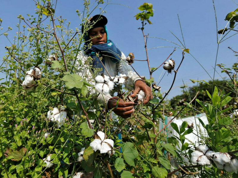 Imported cotton demand: a threat managed?