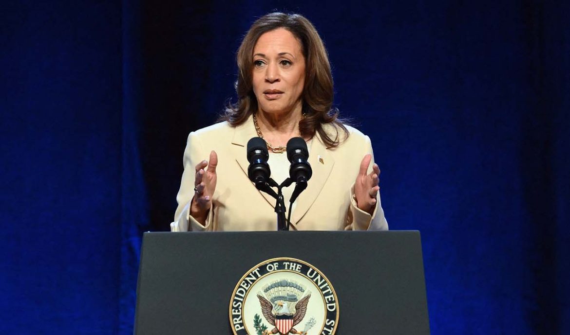 Vice President Harris encourages voter awareness at Pakistani-American event as US election nears