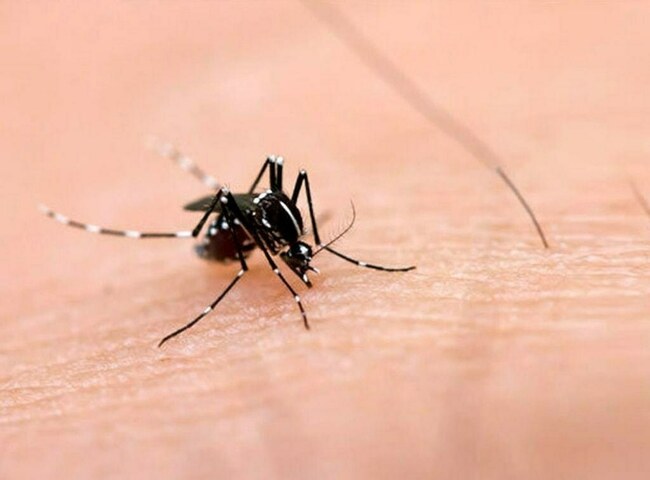 PMD issues dengue outbreak warning for October