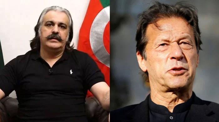 New cases lodged against Imran Khan, CM Gandapur after D-Chowk protest