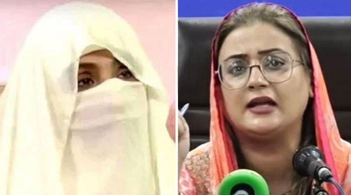 Punjab minister takes jibe at ‘apolitical’ Bushra Bibi over PTI protest