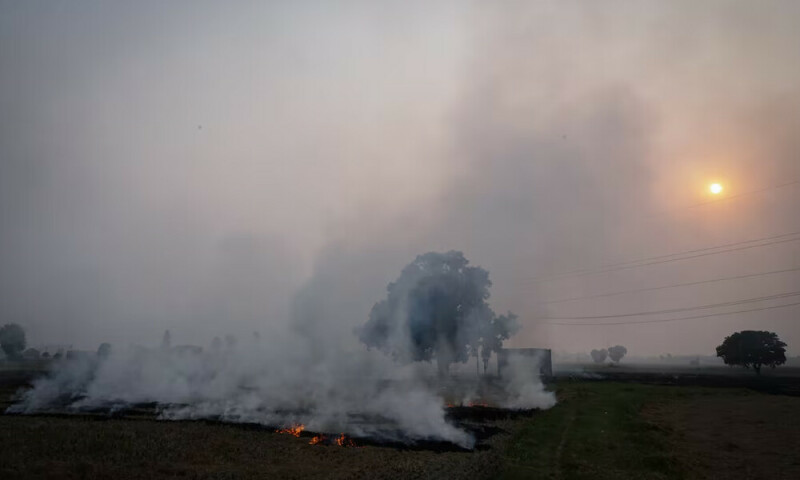 Indian farmers, short on time, burn crop waste despite toxic smog