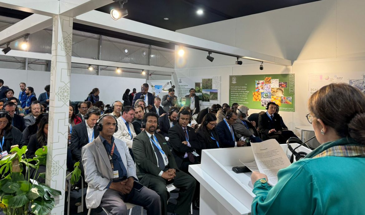 Pakistan unveils first National Climate Finance Strategy on COP29 sidelines