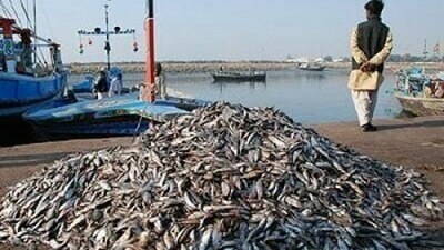 Sindh CM, federal minister  discuss issues facing fishermen